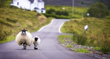 Sans l’Écosse, le Royaume-Uni ce n’est plus…