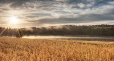 Top 5 des activités en Finlande