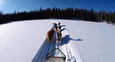 Où faire une randonnée en traîneau à chiens cet hiver ?