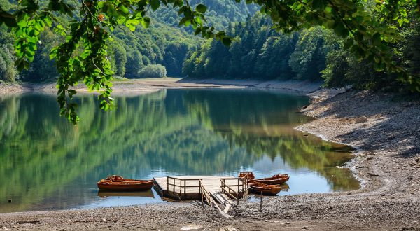 Biogradska Gora