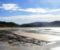 Catlins plage 120x100