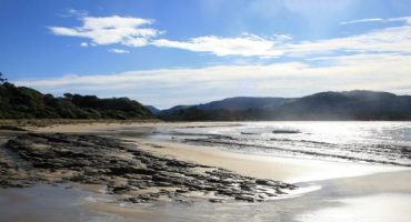 Pourquoi vous devriez visiter les Catlins en Nouvelle-Zélande