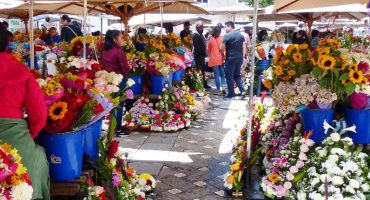 Top 7 des marchés aux fleurs dans le monde