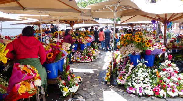 Marché aux fleurs à Cuenca, Équateur iStock