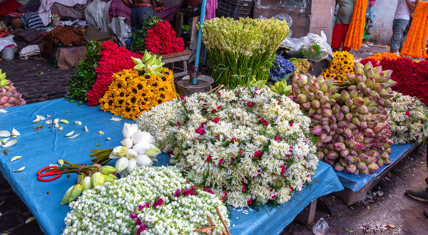 Marché aux fleurs de Mullick Ghat Inde iStock