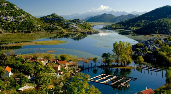 Parc National du lac de Skadar