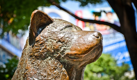 Statue du chien Hachiko à Tokyo