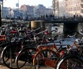 velo amsterdam 120x100