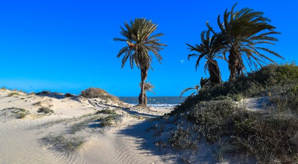Ras El Rmal Djerba