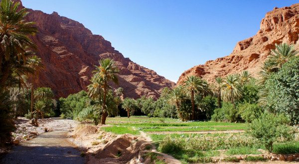 Vallée du Todra - Maroc