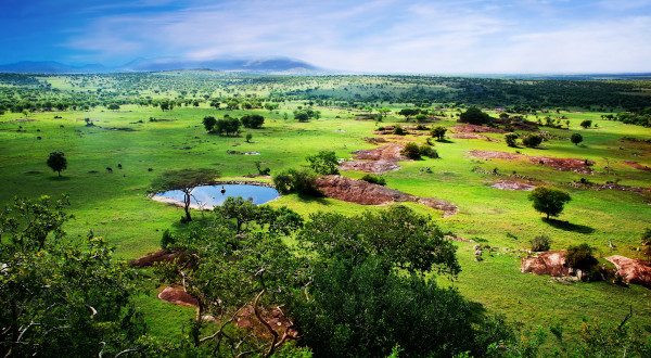 Tarangire - Tanzanie