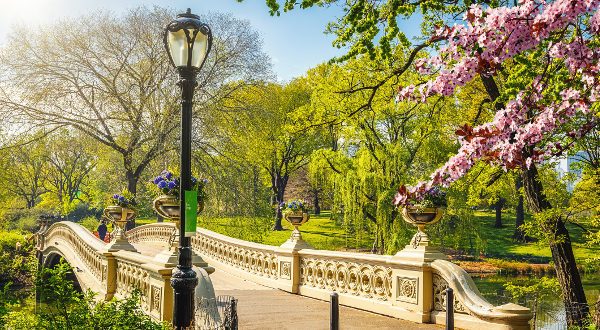 Central Park