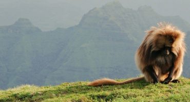 Visiter le Parc national du Simien en Éthiopie