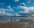 irlande 120x100