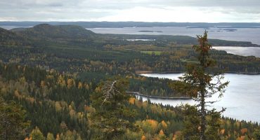 Les plus belles forêts en Europe