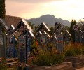 cimetiere 120x100