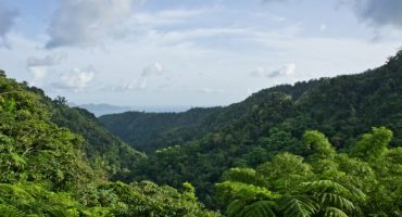 Première édition du Raid des Alizés en Martinique