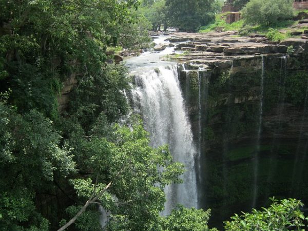 Jungle en Inde