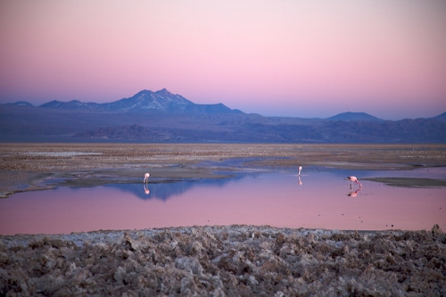 Salar d'Atacama, plus grand dépôt salin du Chili