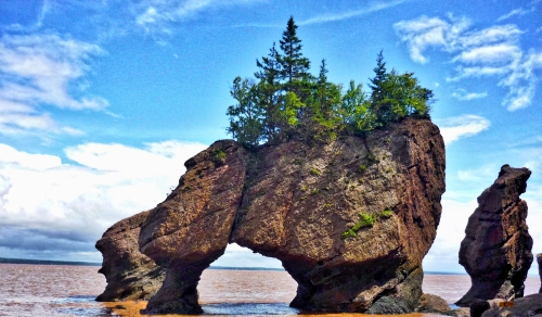 Quelque par dans le parc Fundy