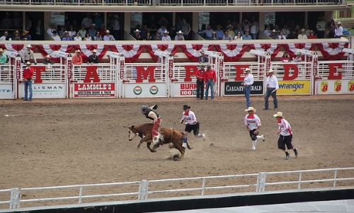 Stampede Calgary