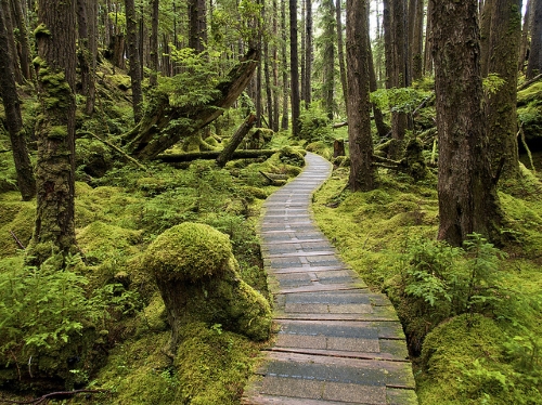 haida gwaii parc national