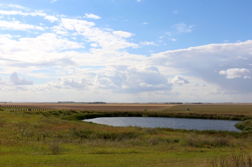 manitoba prairie 2
