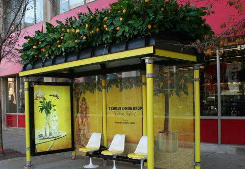 arrêt bus rafraichissant