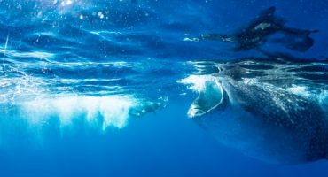 6 astuces pour réussir vos photos sous l’eau