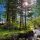 Camping-foret-riviere-iStock