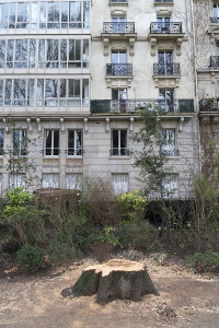 tour eiffel