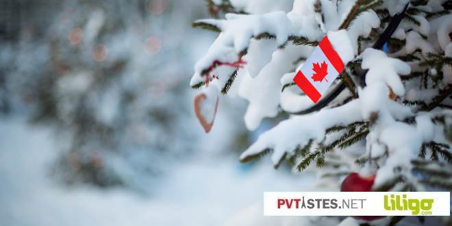 La magie de Noël au Canada : où et comment passer les fêtes dans le