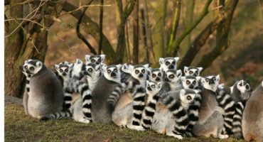 Destination de la semaine : Madagascar