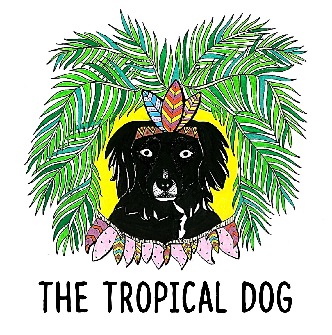 Maria Shark The Tropical Dog Un Blog Qui A Du Chien Magazine Du Voyageur Maria Shark The Tropical Dog Un Blog Qui A Du Chien Magazine Du Voyageur
