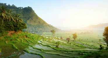 Destination de la semaine : Bali
