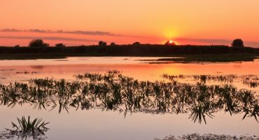 Voyage en terre sauvage, dans le plus grand delta d’Europe