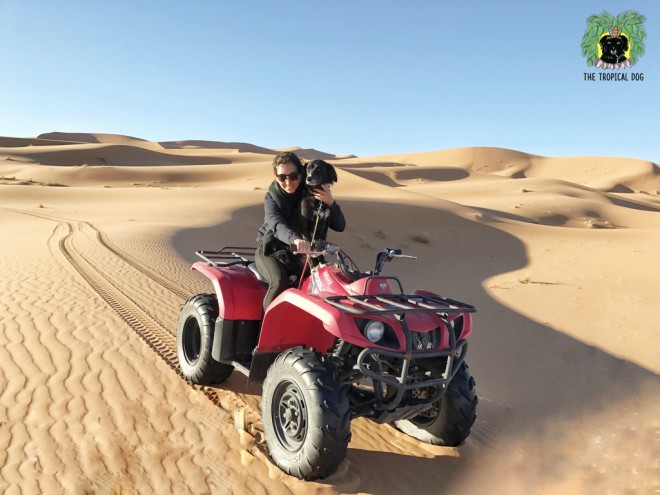 The Tropical Dog au Maroc