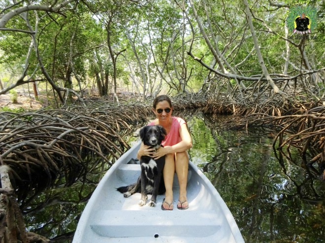 The Tropical Dog en Colombie