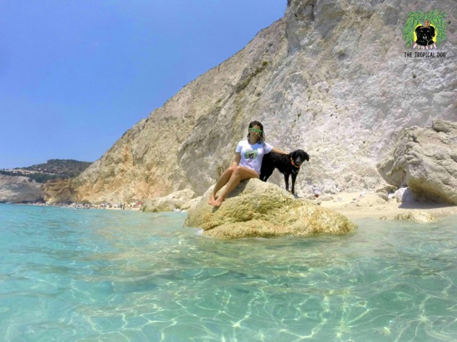 The Tropical Dog en Grece
