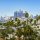 Los Angeles downtown
