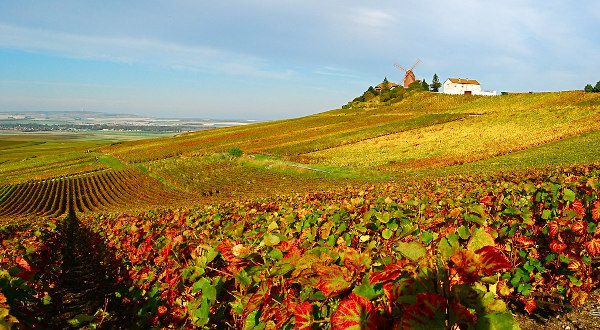 Route de la montagne - Reims