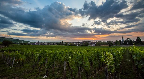 Route des vins - Bourgogne
