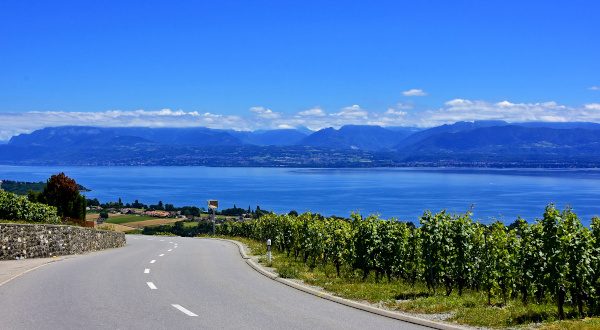 Route des vins - Savoie