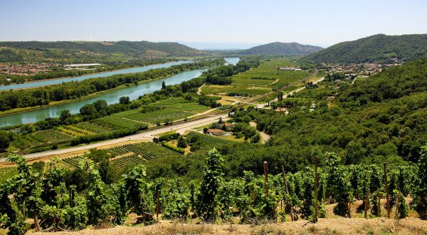 Vignoble vallée du Rhône