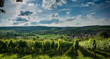 Les plus belles routes des vins en France