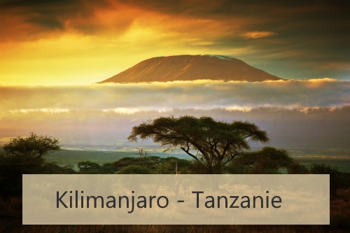 kilimanjaro