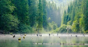 Entre lacs et légendes : évasion sur les routes mystérieuses des Carpates