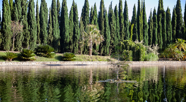 Jardin botanique Malaga Espagne iStock