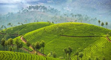 Dans le sud de l’Inde, découvrons le Kerala et le Tamil Nadu