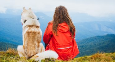 Voyager avec son animal de compagnie